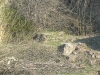 P1080860.JPG