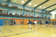 1c