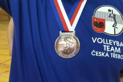 Medaile ČP 2017